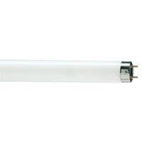 Лампа люм G13 Т8 30Вт 6200К 1825лм Philips